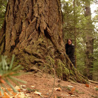 Helen Cherullo standing by large tree